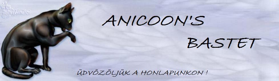 MAINE COON macskk.....Anicoon's bastet kennel